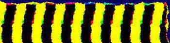 c006.jpg (10004 Byte)