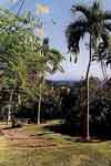 insel08.jpg (10157 Byte)