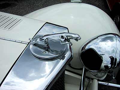 jaguar1.jpg (17838 Byte)