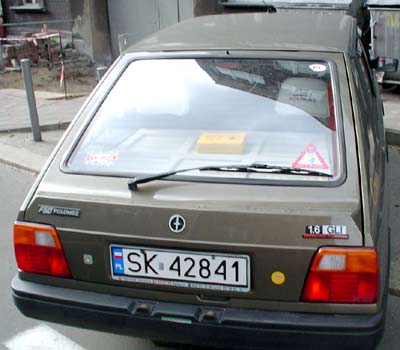 polon16c.jpg (21667 Byte)
