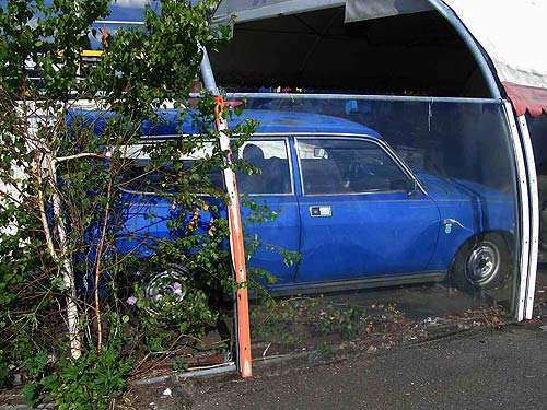 gall343_austin_allegro.jpg (60511 Byte)