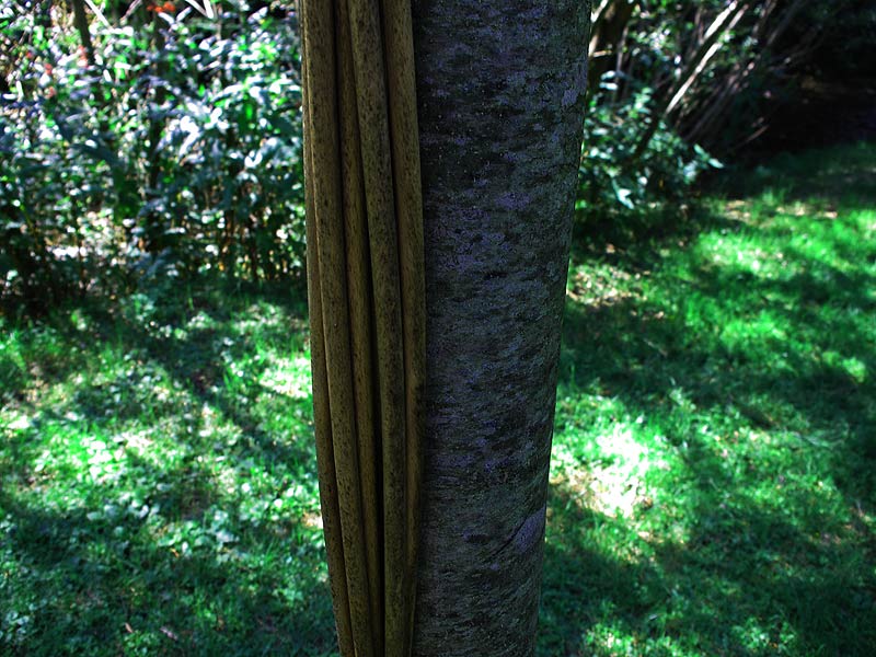 detail09_800.jpg (111193 Byte)
