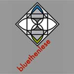 logo_bluet.jpg (3069 Byte)